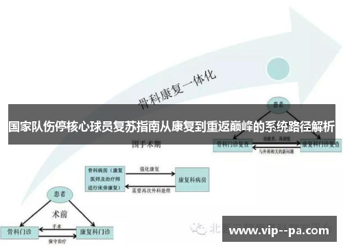 国家队伤停核心球员复苏指南从康复到重返巅峰的系统路径解析 国家队伤停核心球员复苏指南从康复到重返巅峰的系统路径解析
