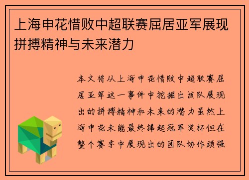 上海申花惜败中超联赛屈居亚军展现拼搏精神与未来潜力